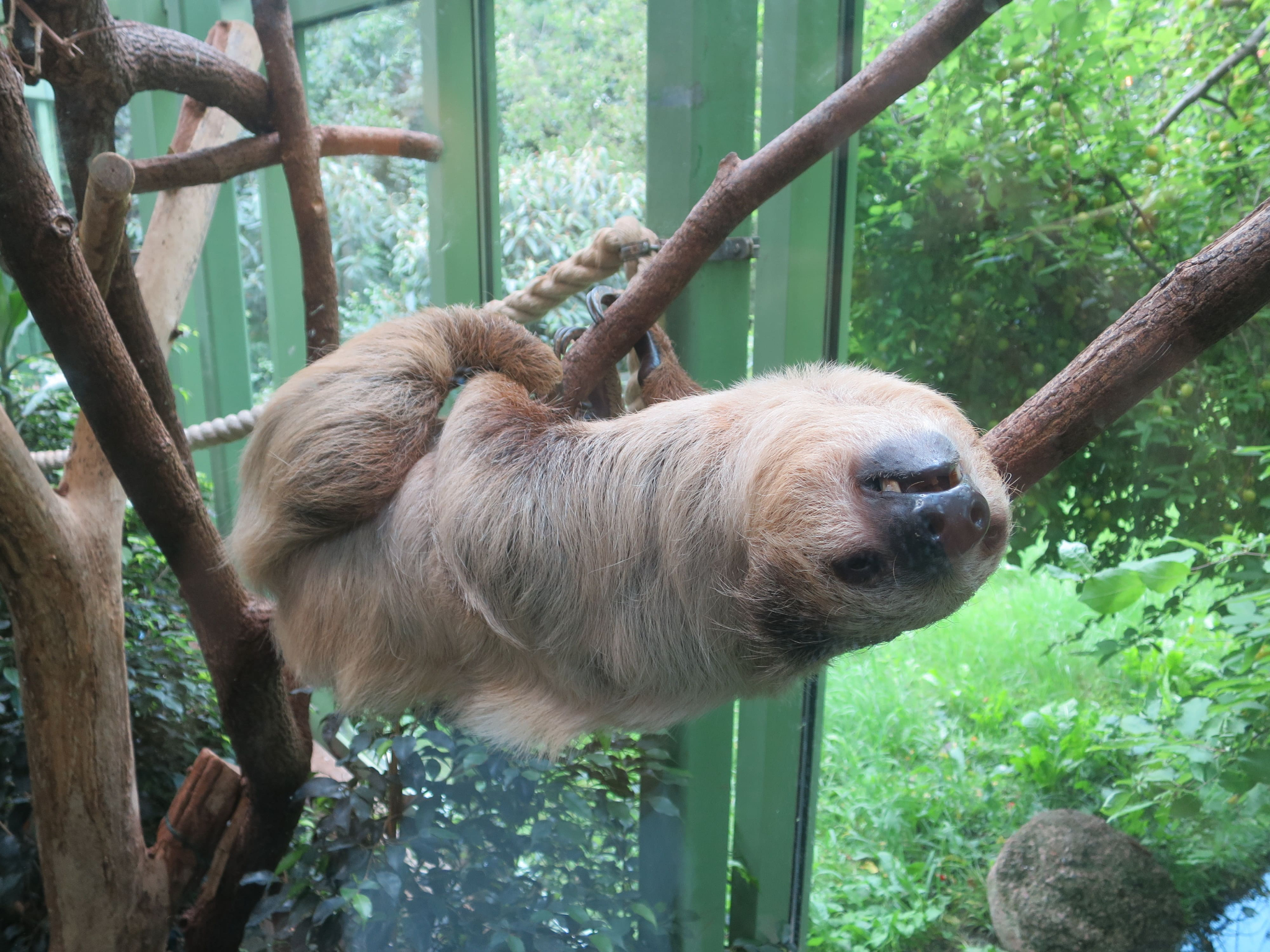 Tierpark Zoo  12